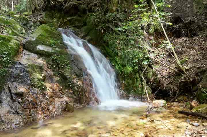 三馬谷の無名滝